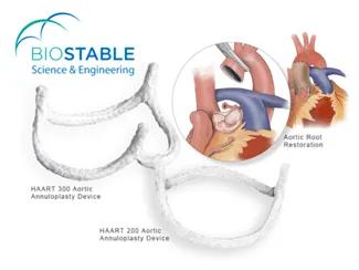 Web BioStable products 2 Tile