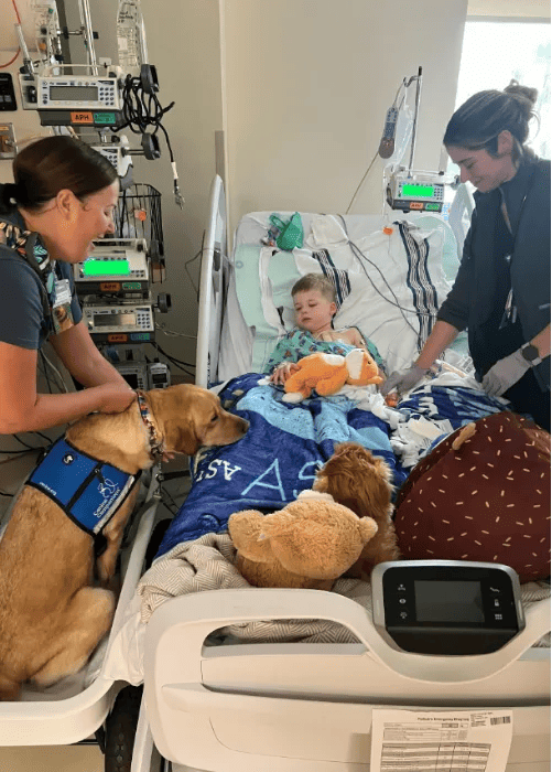 Boy in hospital bed next to 2 nurses and a dog